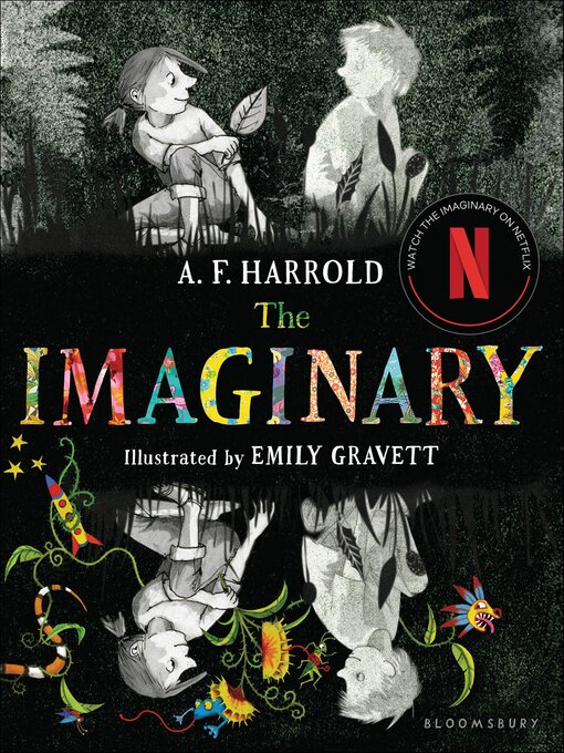 Cover image for The Imaginary